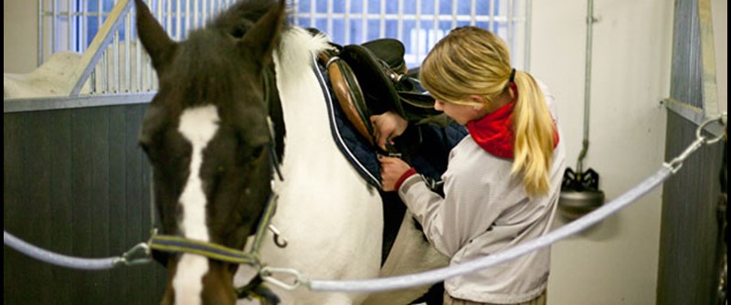 Över 300 föreningar ger stora möjligheter till träning, skapande, sysselsättning och gemenskap. 