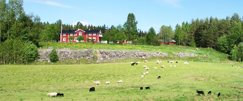 I PIteå får du mycket boende för pengarna.